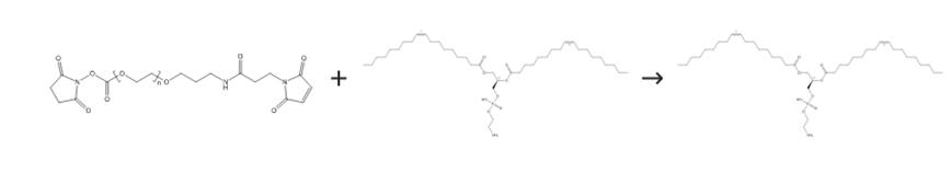 圖2 1，2-二油酰-SN-甘油-3-磷酰乙醇胺的合成路線[2]。