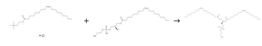 圖3 1，2-二油酰-SN-甘油-3-磷酰乙醇胺的合成路線[3]。