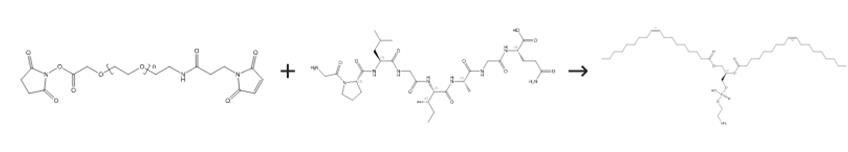 圖4 1，2-二油酰-SN-甘油-3-磷酰乙醇胺的合成路線。