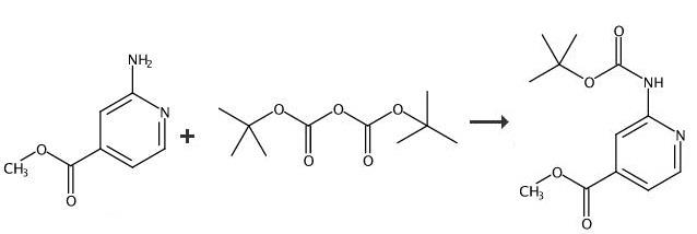 synthesis of Methyl 2-(Boc-amino)isonicotinate synthesis of Methyl 2-(Boc-amino)isonicotinate