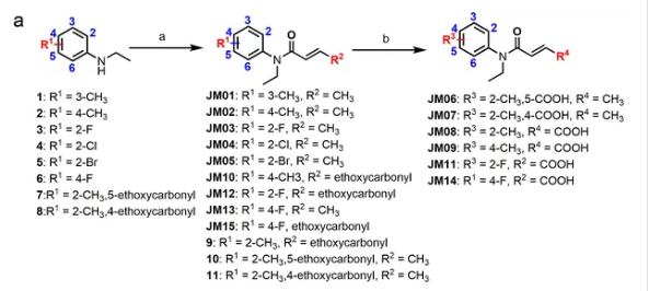 克羅米通衍生物JM03通過抑制OSM-9可更顯著延長(zhǎng)壽命1.png