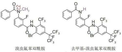 溴蟲(chóng)氟苯雙酰胺和去甲基-溴蟲(chóng)氟苯雙酰胺的結(jié)構(gòu).jpg