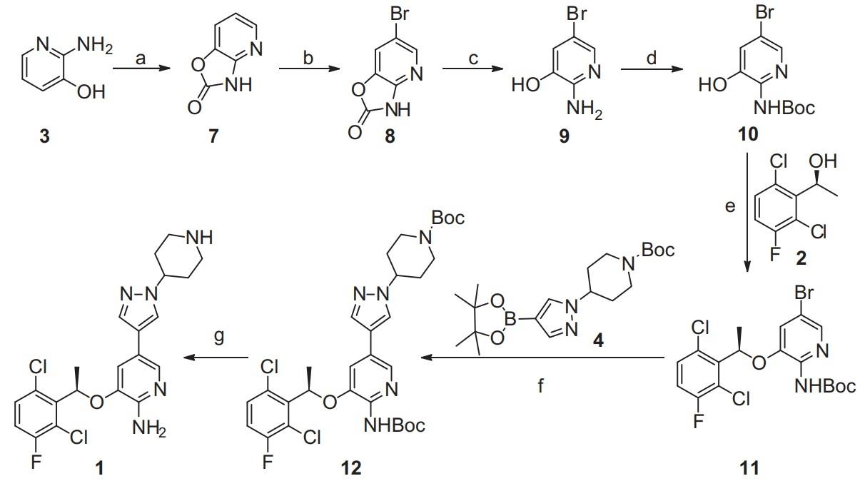 Synthesis of Crizotinib.jpg