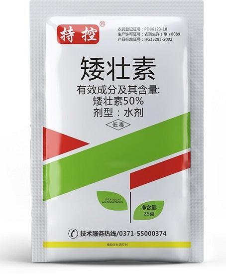 正確使用矮壯素，增產(chǎn)效果很顯著！