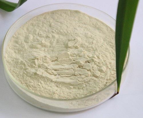 大蒜素的相關(guān)問題