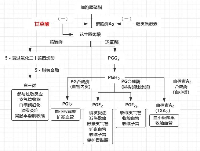 甘草酸的作用及功效