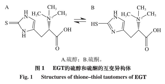 麥角硫因在皮膚中的應(yīng)用