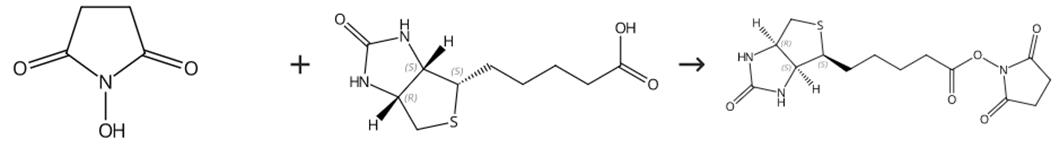 圖1 (+)生物素-N-琥珀酰亞胺基酯的合成路線