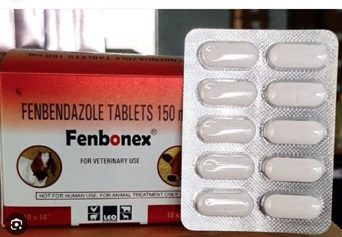 Fenbendazole