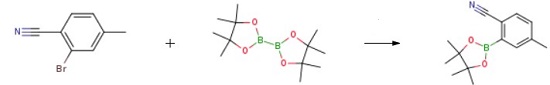 4-Methyl-2-(4,4,5,5-tetraMethyl-1,3,2-dioxaborolan-2-yl)-benzonitrile