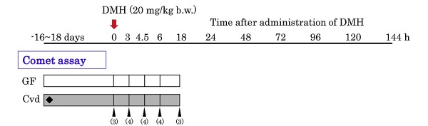 1,2-DIMETHYLHYDRAZINE DIHYDROCHLORIDE