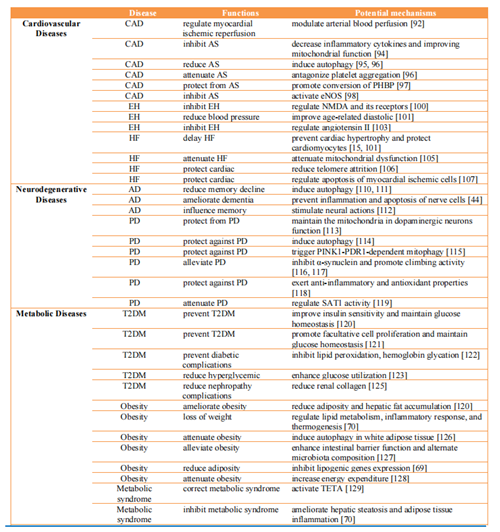 Spermidine and diseases