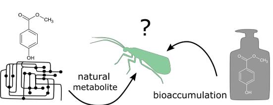 Figure 1. The curious case of methylparaben: Anthropogenic contaminant or natural origin