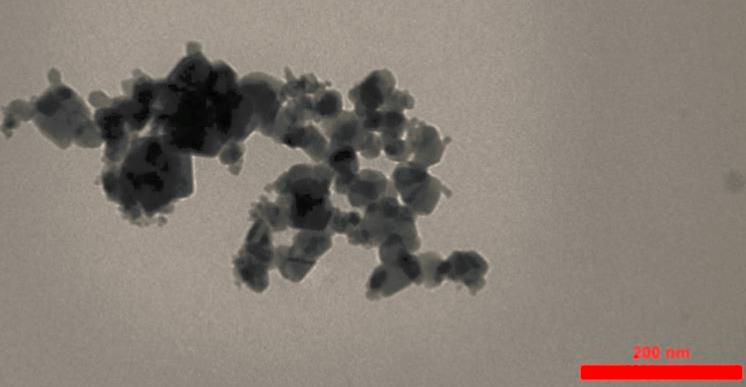 Figure 1 The TEM image of Al2O3 NPs