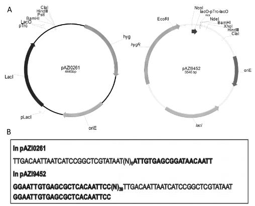 Figure 1 IPTG inducible conditional expression vectors with promoter-operator sequences.png