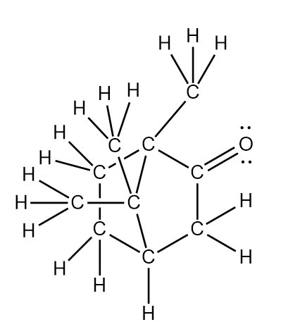 Camphor