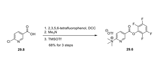 Synthesis of Activated Ester 29.6