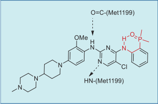 Figure 3. Ceritinib–ALK interaction.