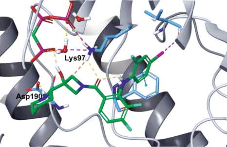 Figure 2. Co-crystal structure of cobimetinib and  AMP–PCP with MEK1 (PDB ID: 4AN2).