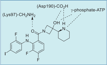 Figure 3. Summary of cobimetinib and AMP–PCP  with MEK1 interactions based on an X-ray co-crystal  structure.