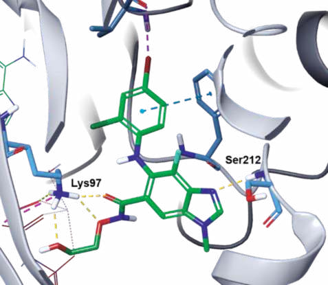 Figure 3. Co-crystal structure of selumetinib–MEK1– AMP–PNP (PDB ID: 4U7Z).