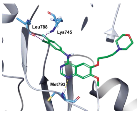 Gefitinib Gefitinib
