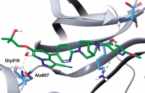 Figure 3. Co-crystal structure of selpercatinib–RET (PDB ID: 7JU6). Figure 3. Co-crystal structure of selpercatinib–RET (PDB ID: 7JU6).