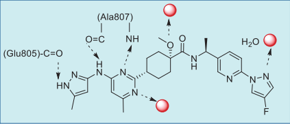 Figure 2. Summary of pralsetinib–RET interactions  based on the co-crystal structure.