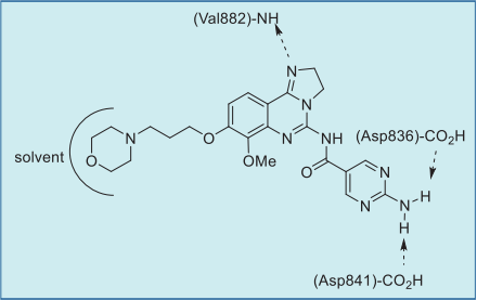 Figure 2. Summary of copanlisib–PI3Kγ interactions  based on a co-crystal structure.