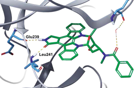 Figure 1. Co-crystal structure of midostaurin in  complex with human DYRK1A (PDB ID: 4NCT).