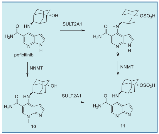 Peficitinib