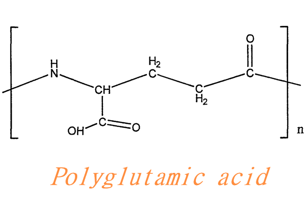 Polyglutamic acid