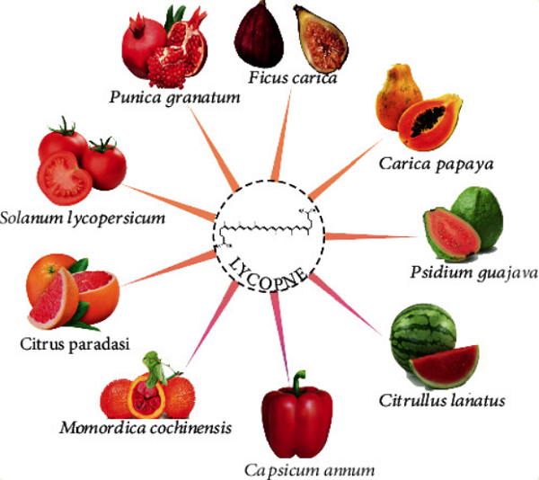 Lycopene