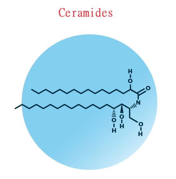 Ceramides