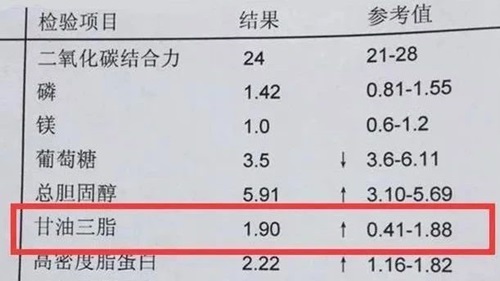 三月桂酸甘油酯