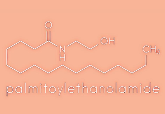 Palmitoylethanolamide