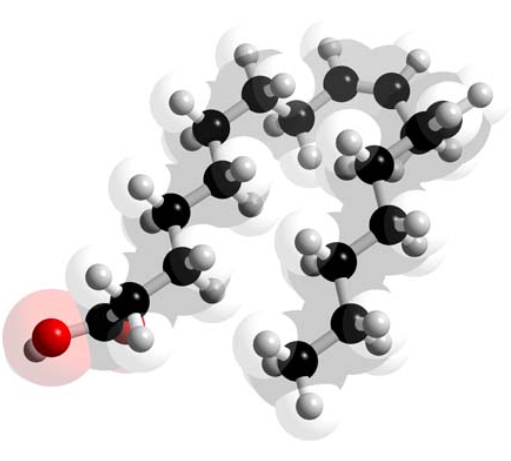 共軛亞油酸