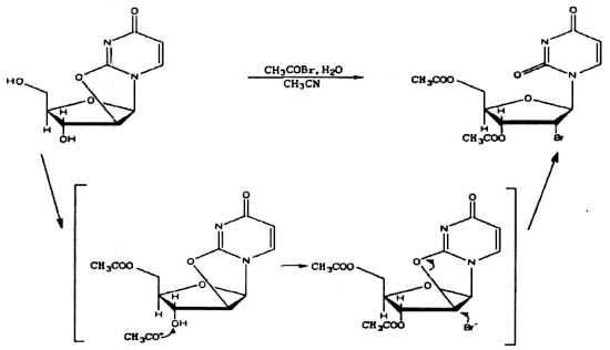 2,2'-脫水尿苷的?；u化反應(yīng).png