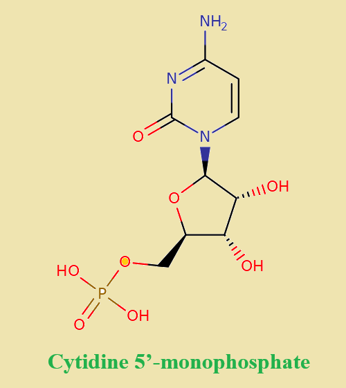 Cytidine 5’-monophosphate