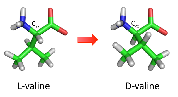 The mirror image of L-valine and D-valine