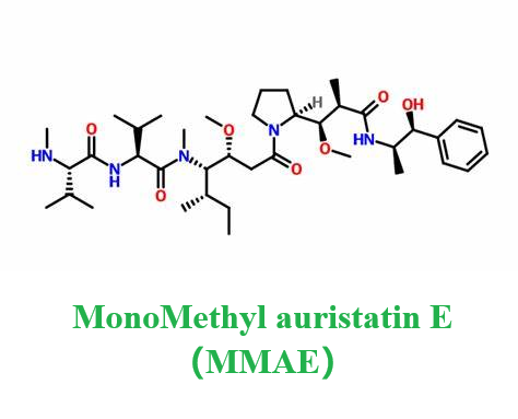 MonoMethyl auristatin E