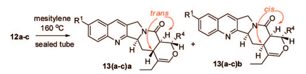 Intramolecular Oxa Diels-Alder Reactions