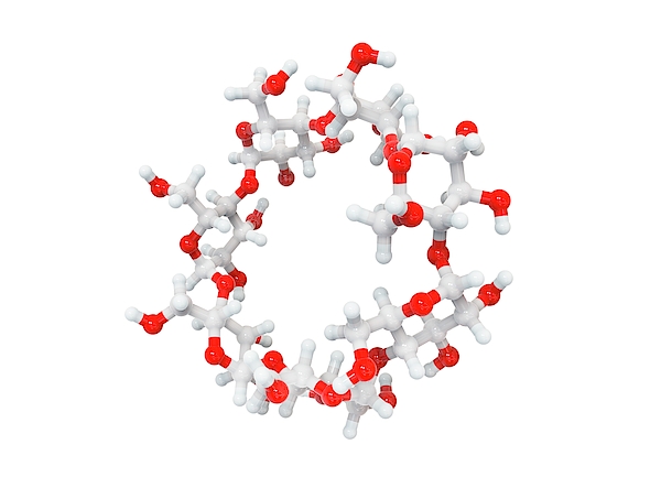 β-Cyclodextrin