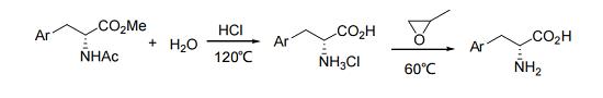 Figure 1 The synthetic route of D-phenylalanine.png