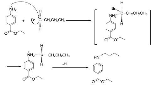 Figure 1 Synthetic reaction mechanism of ethyl 4-(butylamino)benzoate.png