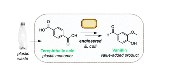 Preparation of Vanillin from plastic