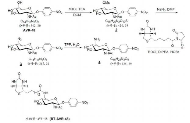 4-硝基苯基-2-乙酰胺基-2-脫氧-B-D-吡喃葡糖霉生物素化路線