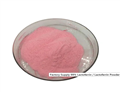 Lactoferrin Powder 