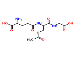 γ-Glutamyl-S-acetylcysteinylglycine