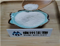 Methylamine hydrochloride